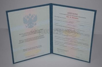 Диплом MBA 2020г в Мурманске