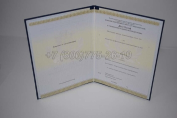 Диплом о Переподготовке 2024г РУДН в Мурманске