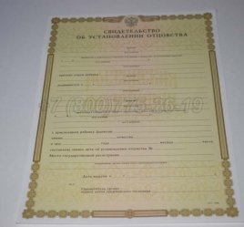 Свидетельство об Установлении Отцовства 2018г в Мурманске