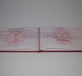 Диплом Кандидата Наук 2014г в Мурманске
