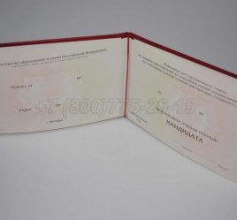 Диплом Кандидата Наук 2017г в Мурманске