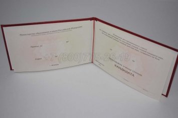 Диплом Кандидата Наук 2017г в Мурманске