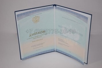 Диплом Техникума 2022г СпецБланк в Мурманске