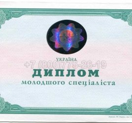 Диплом Техникума Украины 2013г в Мурманске
