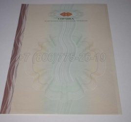 Академическая Справка ВУЗа 2023г в Мурманске