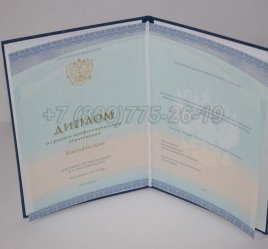Диплом Колледжа 2022г СпецБланк в Мурманске