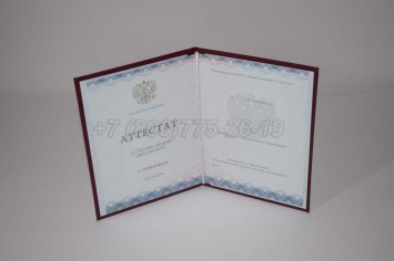 Аттестат За 11 Класс 2022г Золото ГОЗНАК в Мурманске