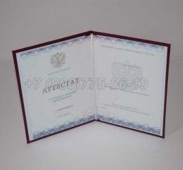 Аттестат За 11 Класс 2020г Золото ГОЗНАК в Мурманске