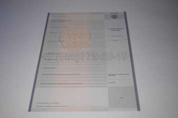 Академическая Справка Техникума 2022г в Мурманске