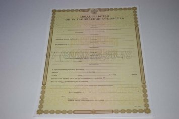 Свидетельство об Установлении Отцовства 2016г в Мурманске