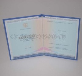 Аттестат За 11 Класс 2022г СпецБланк в Мурманске
