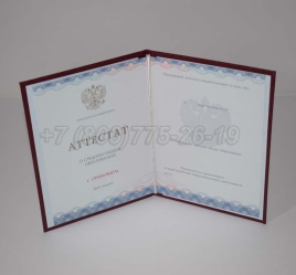 Аттестат За 11 Класс 2024г Золото ГОЗНАК в Мурманске