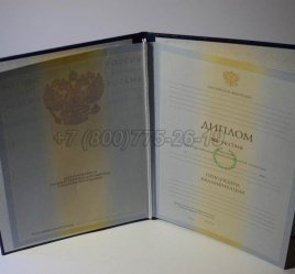 Диплом Института 2010г в Мурманске