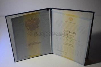 Диплом Института 2010г в Мурманске