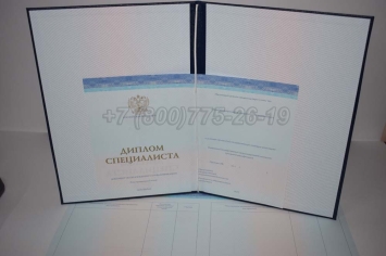 Диплом о Высшем Образовании 2025г СпецБланк в Мурманске