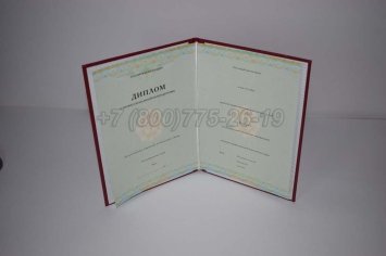 Диплом о Переподготовке 2022г СпецБланк в Мурманске