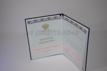 Диплом Магистра 2023г ООО "Знак" в Мурманске