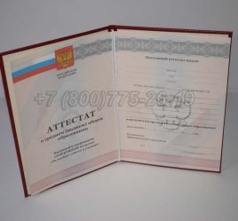 Аттестат За 11 Класс 2012г Серебро в Мурманске