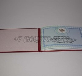 Аттестат Профессора 2020г в Мурманске