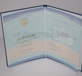 Диплом Колледжа 2023г СпецБланк в Мурманске