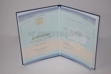 Диплом Колледжа 2023г СпецБланк в Мурманске