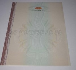 Академическая Справка ВУЗа 2020г в Мурманске
