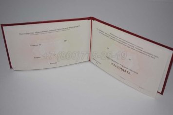 Диплом Кандидата Наук 2022г в Мурманске