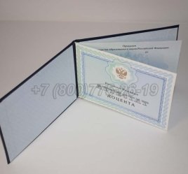 Аттестат Доцента 2023г в Мурманске