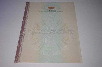 Академическая Справка ВУЗа 2021г в Мурманске