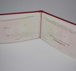 Диплом Кандидата Наук 2023г в Мурманске