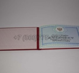 Аттестат Профессора 2023г в Мурманске