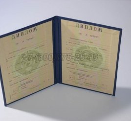 Диплом о Высшем Образовании Украинской ССР в Мурманске
