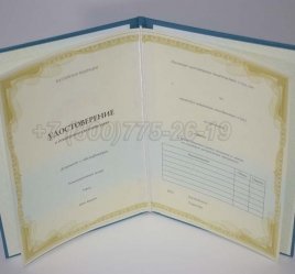 Удостоверение о Краткосрочном Повышении Квалификации в Мурманске